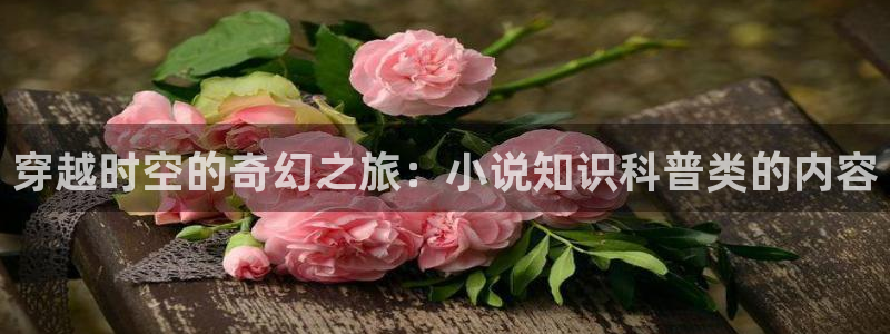买活txt下载奇书网