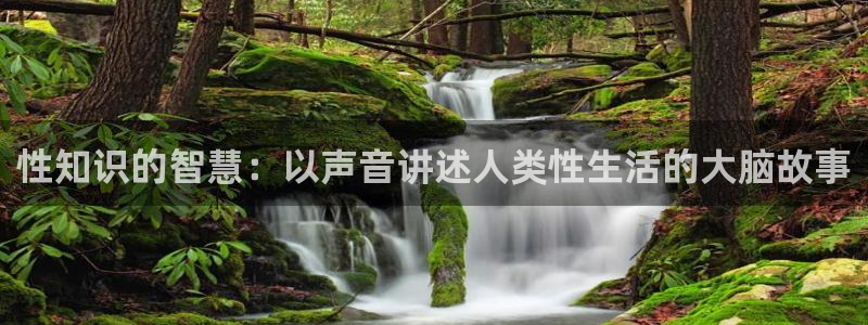 首席医官txt奇书网